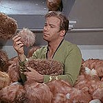 Captain Kirk with Tribbles